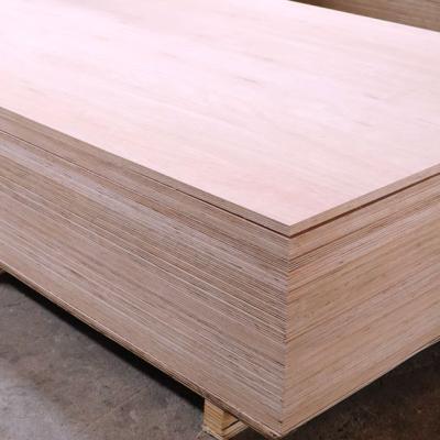 Kai Wah Altripan Uk Image 21